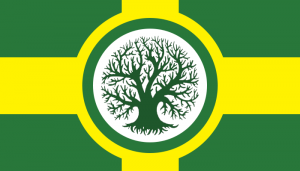 Drapeau Elsoh'nhay.png