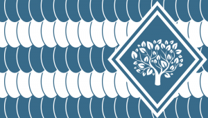 Drapeau Avrayh'nahï.png